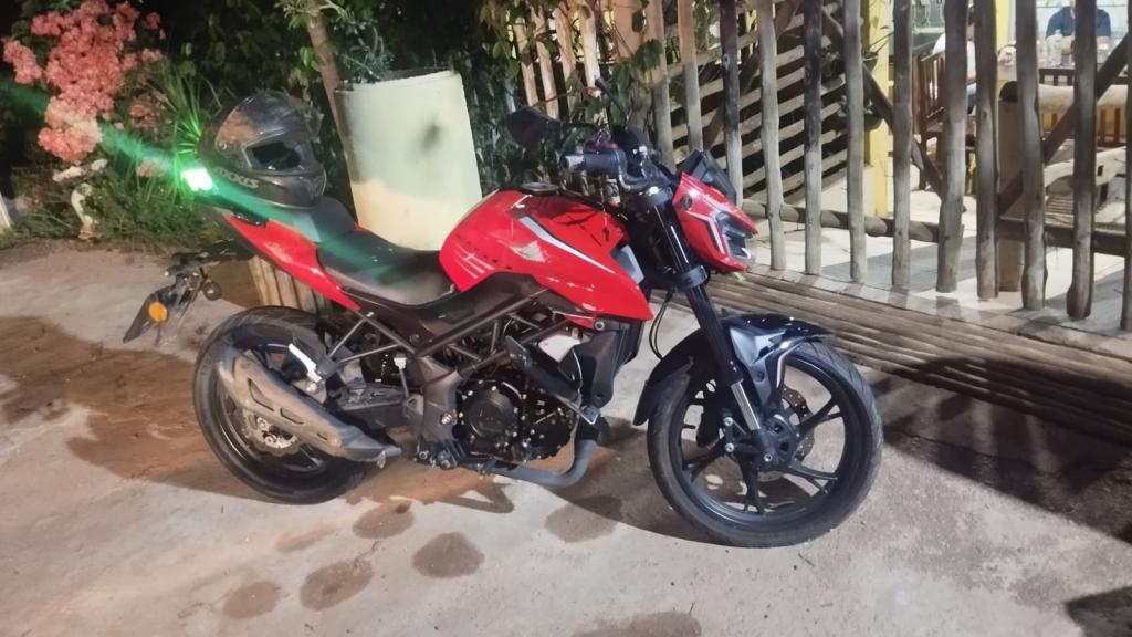 Motociclista fica ferido após colidir com bovino na MG-188, em Patrocínio