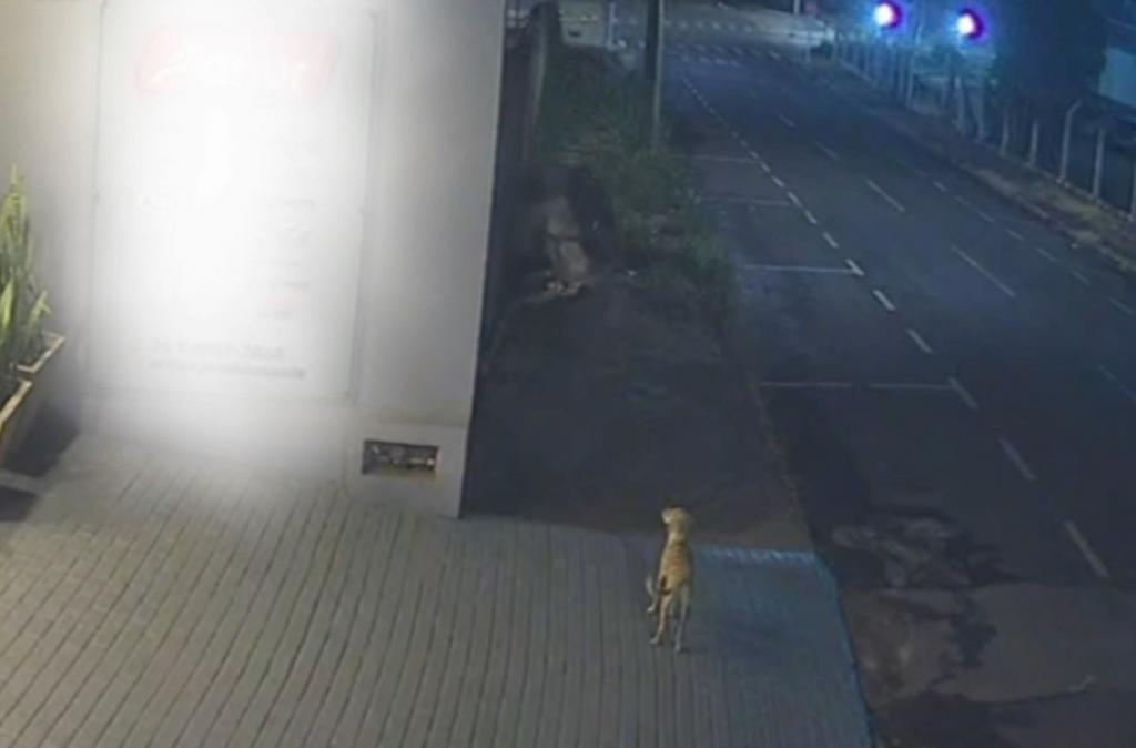 Suspeito de furtos em lojas do Centro de Patrocínio é preso após ação da PM